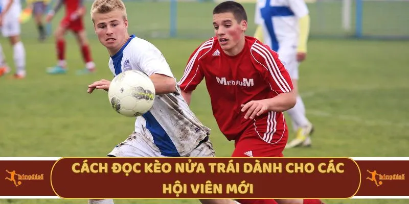 Cách đọc kèo nửa trái dành cho các hội viên mới