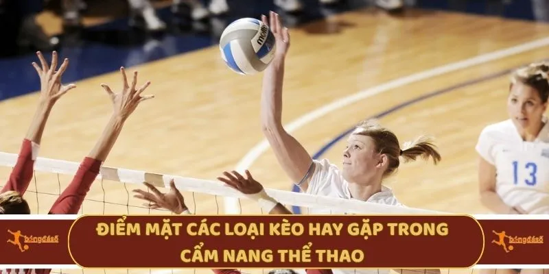 Điểm mặt các loại kèo hay gặp trong cẩm nang thể thao