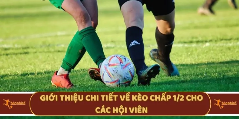 Giới thiệu chi tiết về kèo chấp 1/2 cho các hội viên