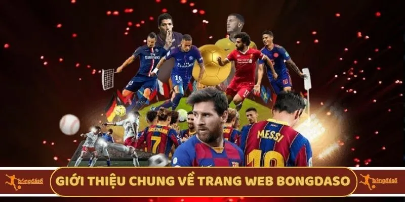 Giới thiệu chung về trang web Bongdaso