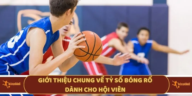 Giới thiệu chung về tỷ số bóng rổ dành cho hội viên