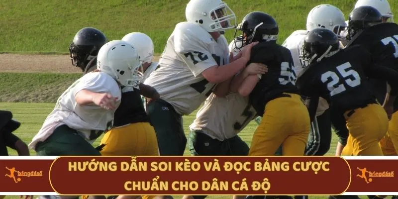 Hướng dẫn soi kèo và đọc bảng cược chuẩn cho dân cá độ