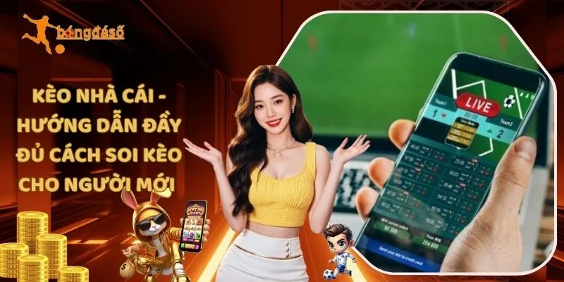 Kèo Nhà Cái - Hướng Dẫn Đầy Đủ Cách Soi Kèo Cho Người Mới