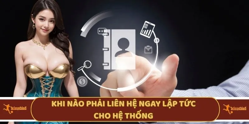Khi nào phải liên hệ ngay lập tức cho hệ thống