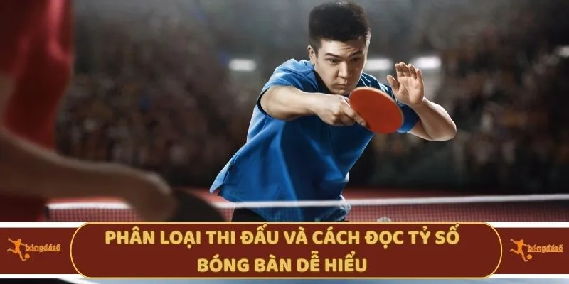 Phân loại thi đấu và cách đọc tỷ số bóng bàn dễ hiểu