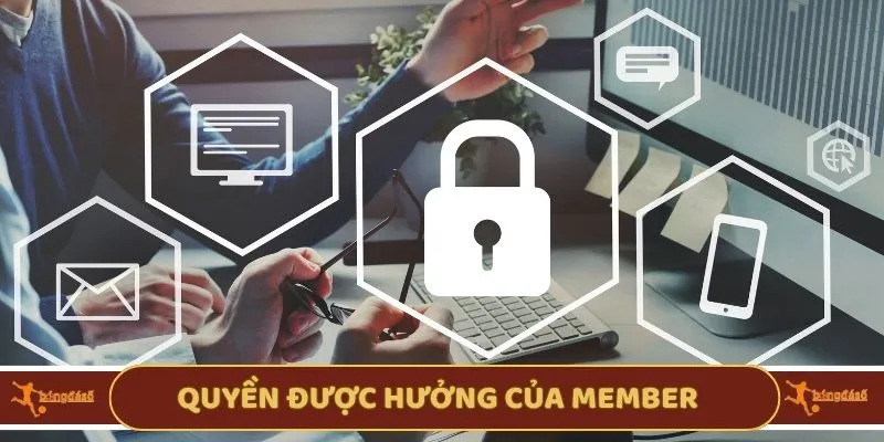Quyền được hưởng của member