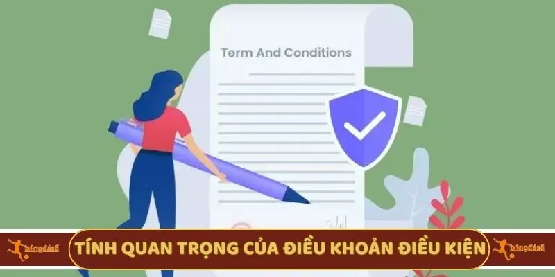Tính quan trọng của điều khoản điều kiện