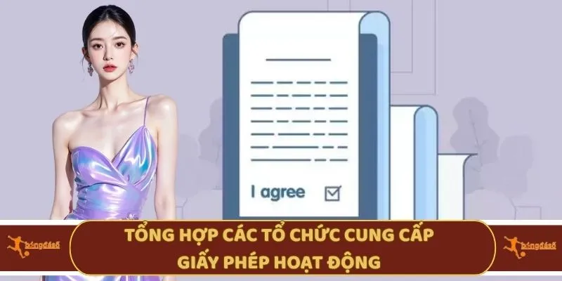 Tổng hợp các tổ chức cung cấp giấy phép hoạt động